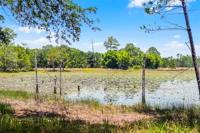 4055 State Road 11, Deland, FL 32724 - photo 8