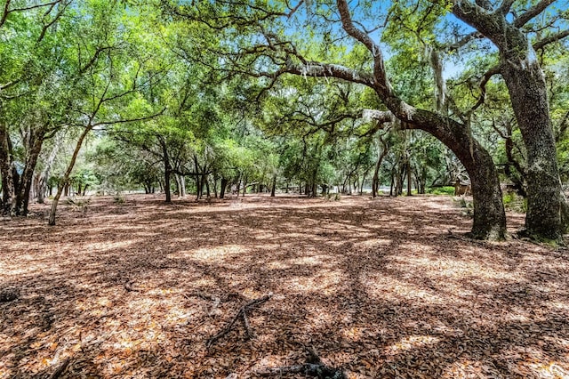 4055 State Road 11, Deland, FL 32724 - photo 9