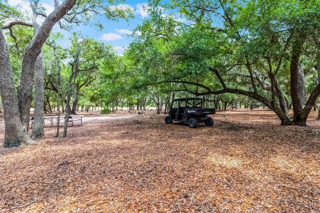 4055 State Road 11, Deland, FL 32724 - photo 10