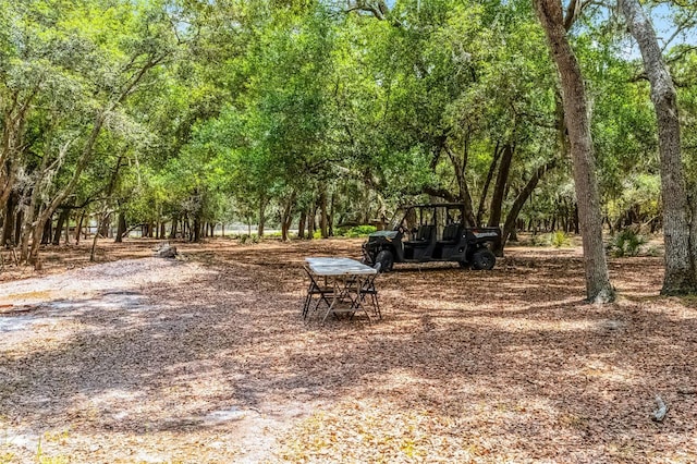 4055 State Road 11, Deland, FL 32724 - photo 12