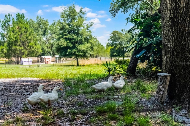 4055 State Road 11, Deland, FL 32724 - photo 58