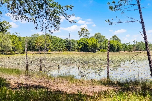 4055 State Road 11, Deland, FL 32724 - photo 68