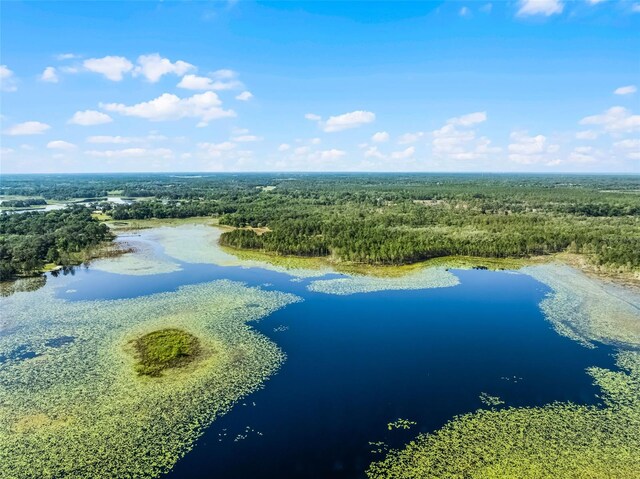 4055 State Road 11, Deland, FL 32724 - photo 73