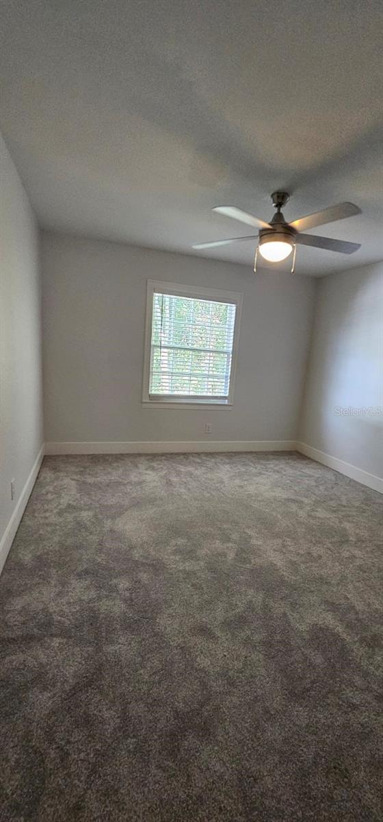 2008 Carr St, Palatka, FL 32177 - photo 13