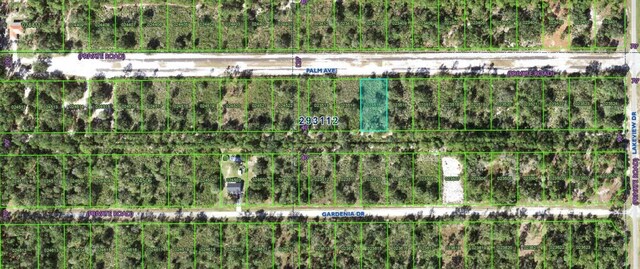 1019 Palm Ave, Indian Lake Estates, FL 33855 - photo 2
