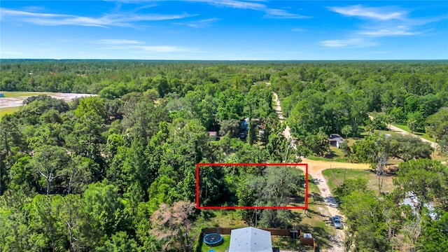 40850 Pine Tree Ln, Eustis, FL 32736