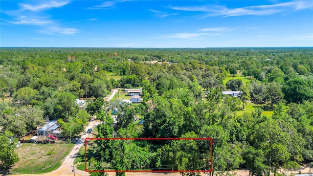 40850 Pine Tree Ln, Eustis, FL 32736