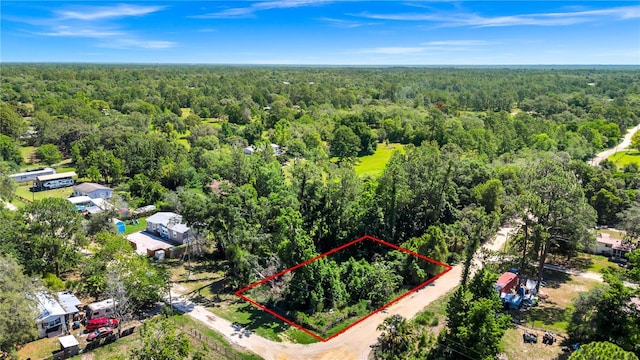 40850 Pine Tree Ln, Eustis, FL 32736