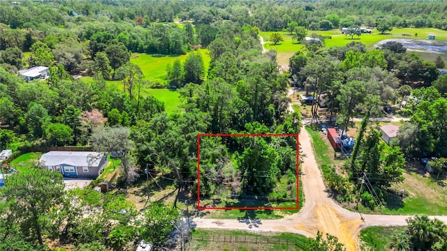 40850 Pine Tree Ln, Eustis, FL 32736