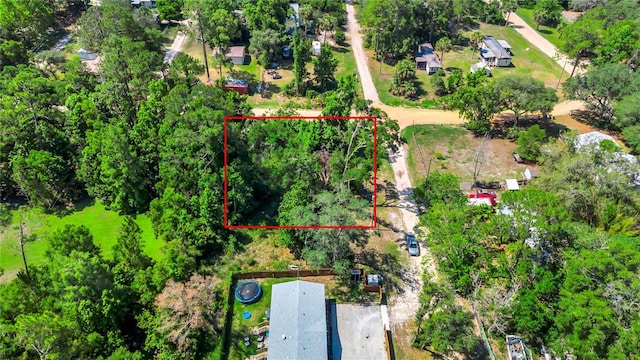 40850 Pine Tree Ln, Eustis, FL 32736