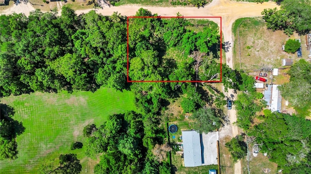 40850 Pine Tree Ln, Eustis, FL 32736