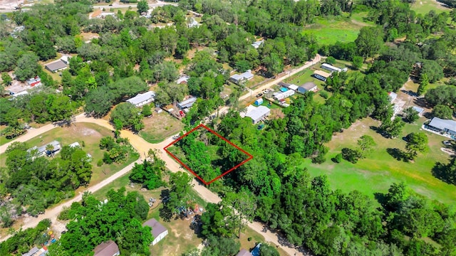 40850 Pine Tree Ln, Eustis, FL 32736