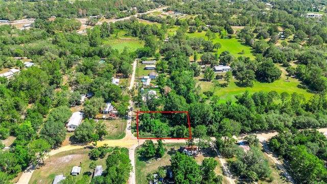40850 Pine Tree Ln, Eustis, FL 32736