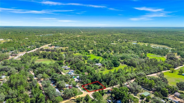 40850 Pine Tree Ln, Eustis, FL 32736