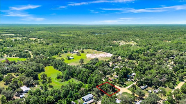 40850 Pine Tree Ln, Eustis, FL 32736