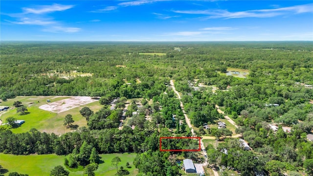 40850 Pine Tree Ln, Eustis, FL 32736