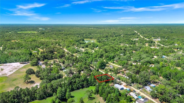 40850 Pine Tree Ln, Eustis, FL 32736