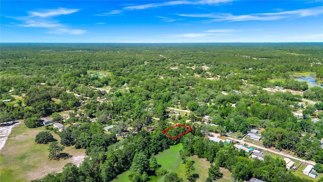 40850 Pine Tree Ln, Eustis, FL 32736