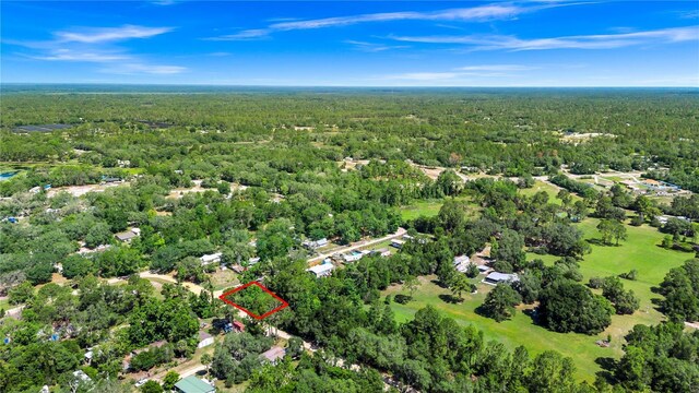 40850 Pine Tree Ln, Eustis, FL 32736