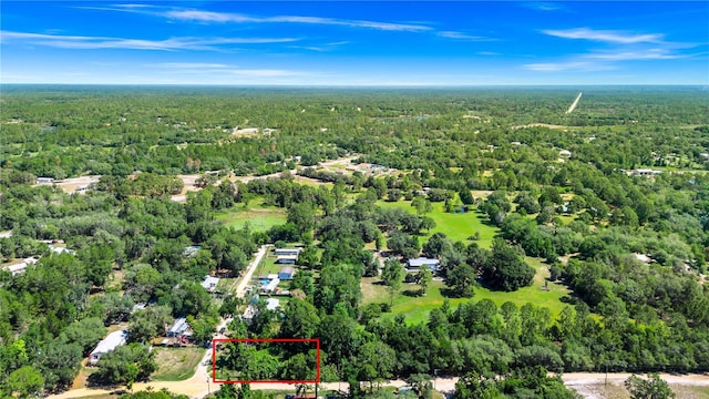 40850 Pine Tree Ln, Eustis, FL 32736