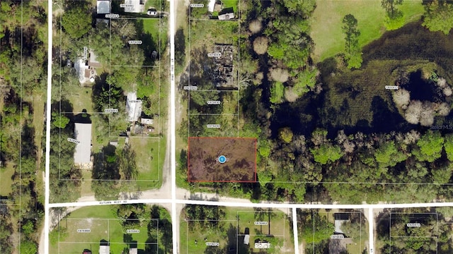40850 Pine Tree Ln, Eustis, FL 32736