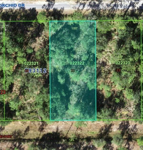 905 Orchid Dr, Indian Lake Estates, FL 33855 - photo 2
