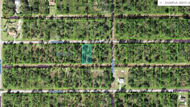905 Orchid Dr, Indian Lake Estates, FL 33855 - photo 3