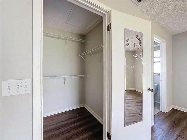 7337 Cone Shell Dr, Spring Hill, FL 34607 - view of closet