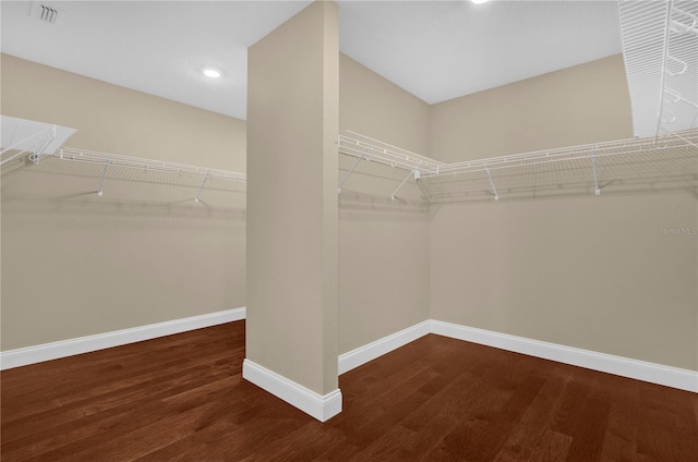 8348 Vivaro Isle Way, Windermere, FL 34786 - spacious closet with wood finished floors