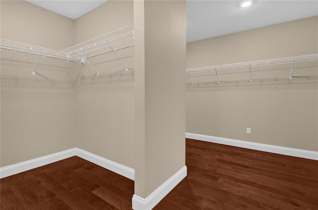 8348 Vivaro Isle Way, Windermere, FL 34786 - walk in closet featuring wood finished floors
