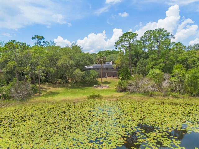 120 E Greentree Ln, Lake Mary, FL 32746 - view of yard