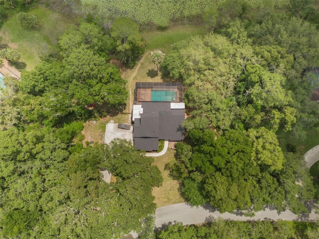 120 E Greentree Ln, Lake Mary, FL 32746 - aerial view of property and surrounding area