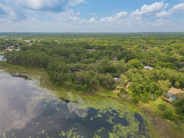 120 E Greentree Ln, Lake Mary, FL 32746 - bird's eye view of a forest and a large body of water