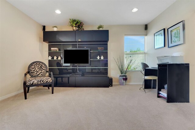 33919 Terragona Dr, Sorrento, FL 32776 - photo 36