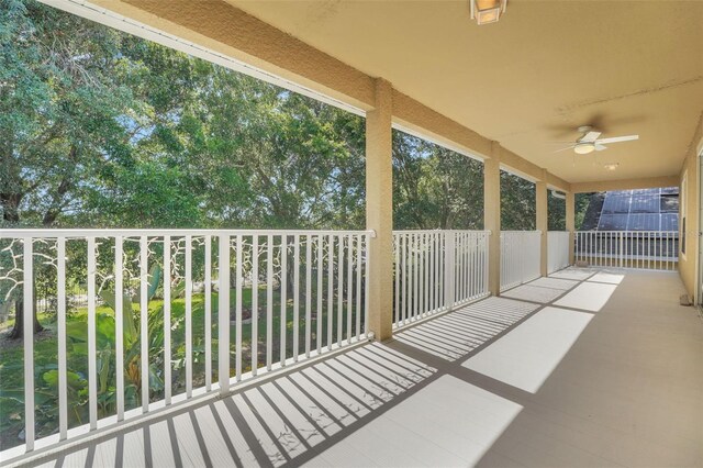 33919 Terragona Dr, Sorrento, FL 32776 - photo 42