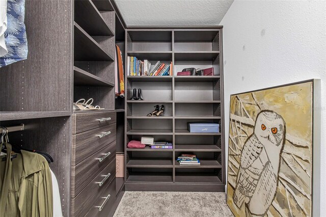 15096 Chapter Way, Winter Garden, FL 34787 - view of walk in closet