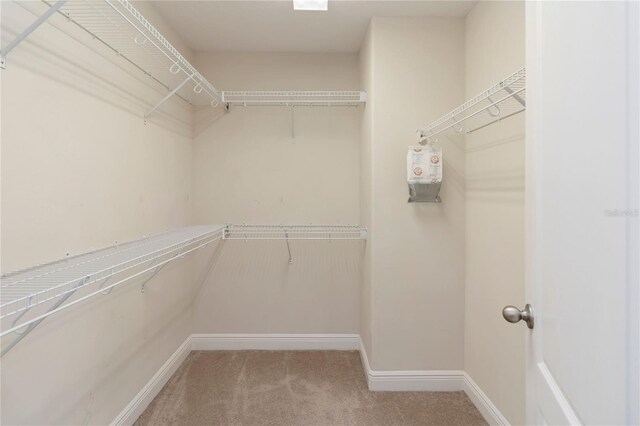 8219 Roseville Blvd, Davenport, FL 33896 - walk in closet featuring carpet flooring