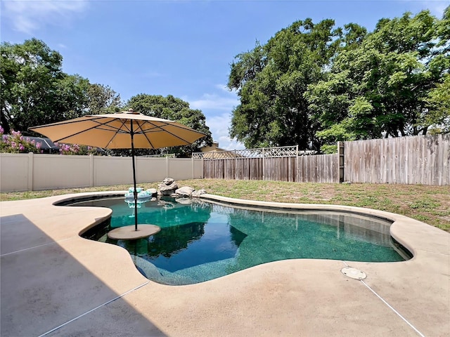 5724 Pitch Pine Dr, Orlando, FL 32819 - view of swimming pool featuring a fenced backyard and a patio area
