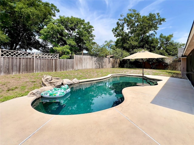 5724 Pitch Pine Dr, Orlando, FL 32819 - view of pool with a patio and a fenced backyard