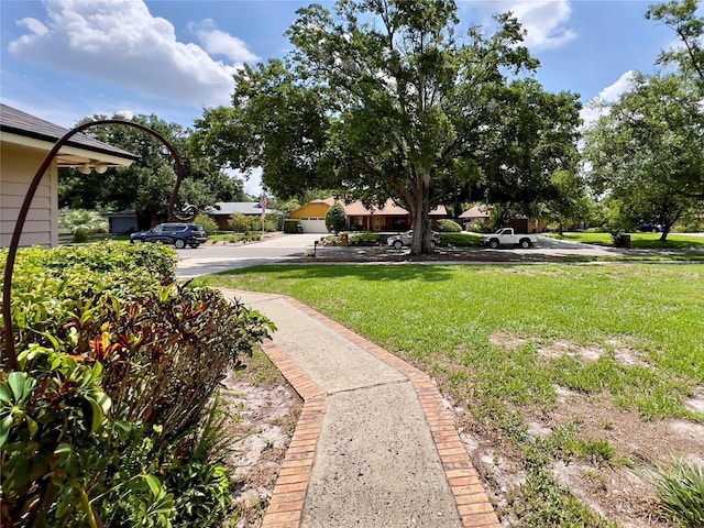 5724 Pitch Pine Dr, Orlando, FL 32819 - view of grassy yard