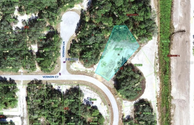 415 Vernon Ct, Kissimmee, FL 34759 - photo 8