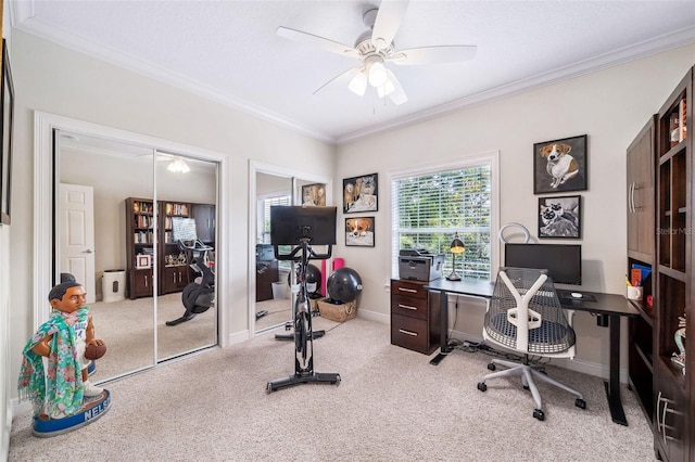 1420 Palmer Ave, Winter Park, FL 32789 - carpeted office with crown molding, ceiling fan, and baseboards