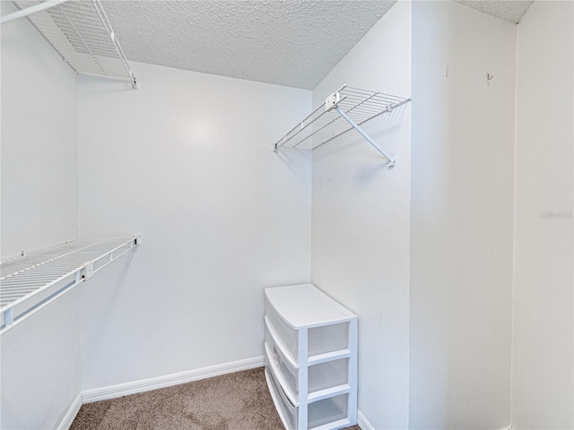 2729 N Poinciana Blvd Unit 125, Kissimmee, FL 34746 - walk in closet with carpet