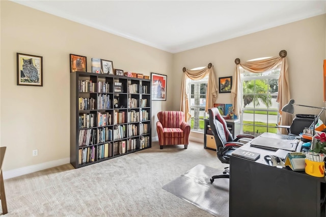1429 Arbitus Cir, Oviedo, FL 32765 - home office with carpet flooring and baseboards