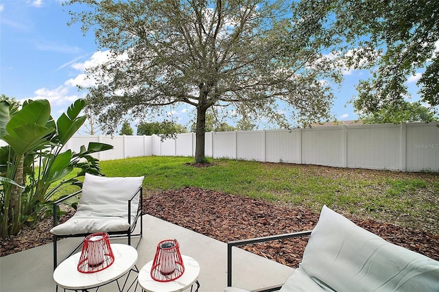 2306 Valhalla Dr, Tavares, FL 32778 - fenced backyard with a patio area