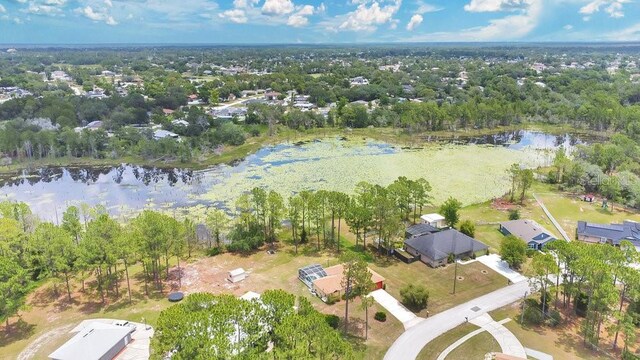2772 Pelham Cir, Deltona, FL 32738 - aerial overview of property's location with a large body of water
