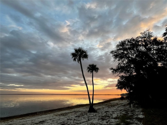 2518 Fort Lane Rd, Geneva, FL 32732 - photo 4