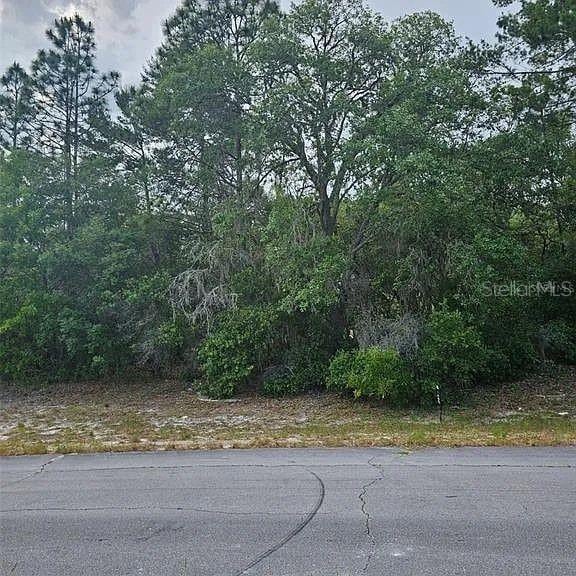 SW 145th Place Rd, Dunnellon, FL 34432
