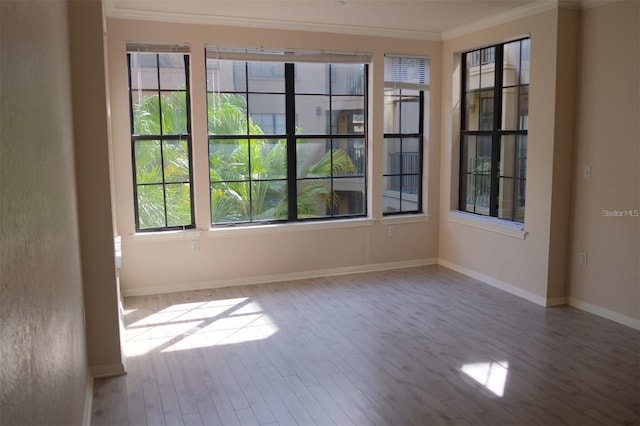 911 N Orange Ave Unit 335, Orlando, FL 32801 - photo 6