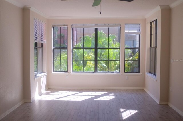 911 N Orange Ave Unit 335, Orlando, FL 32801 - photo 7